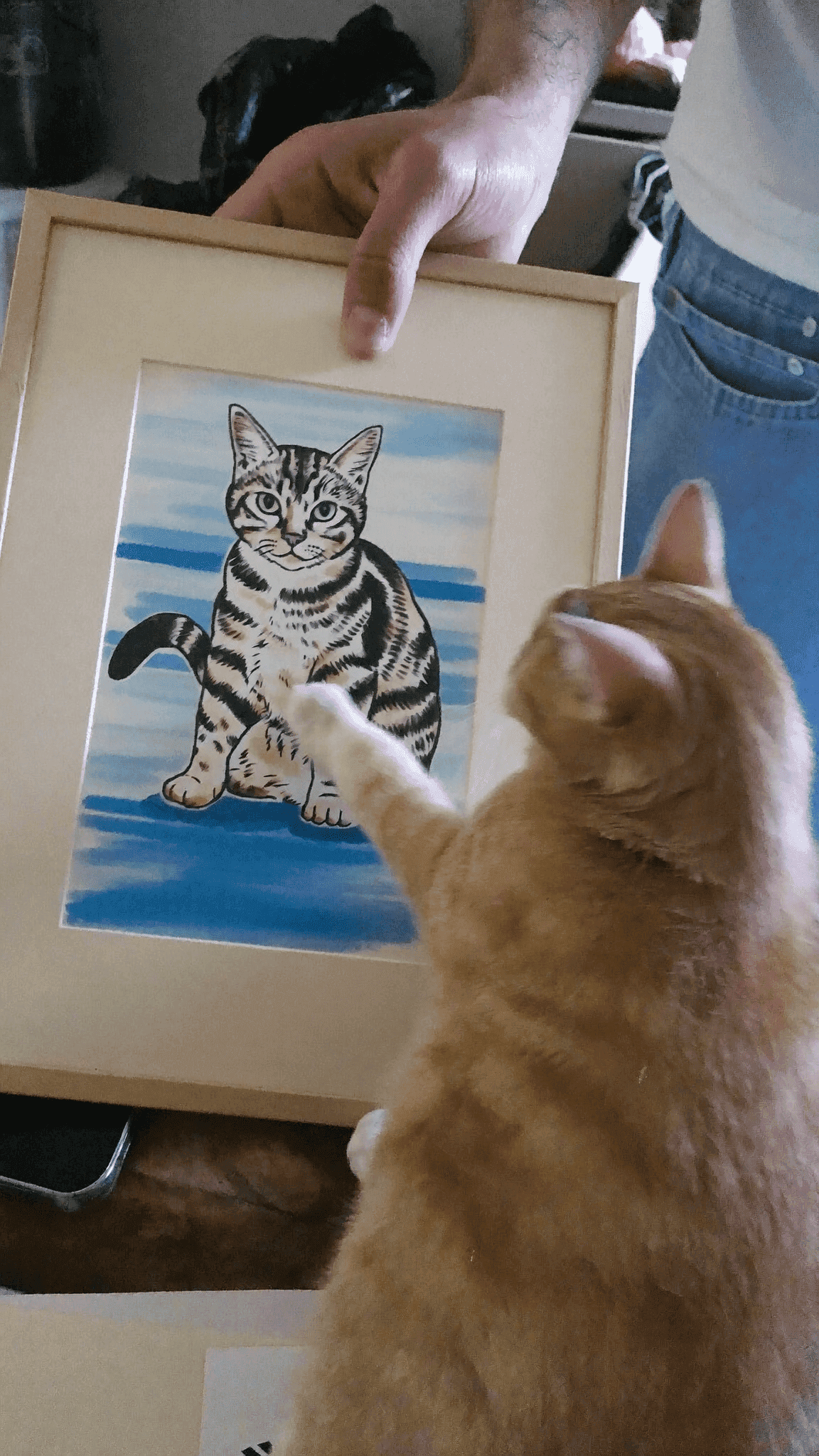Cat wall art
